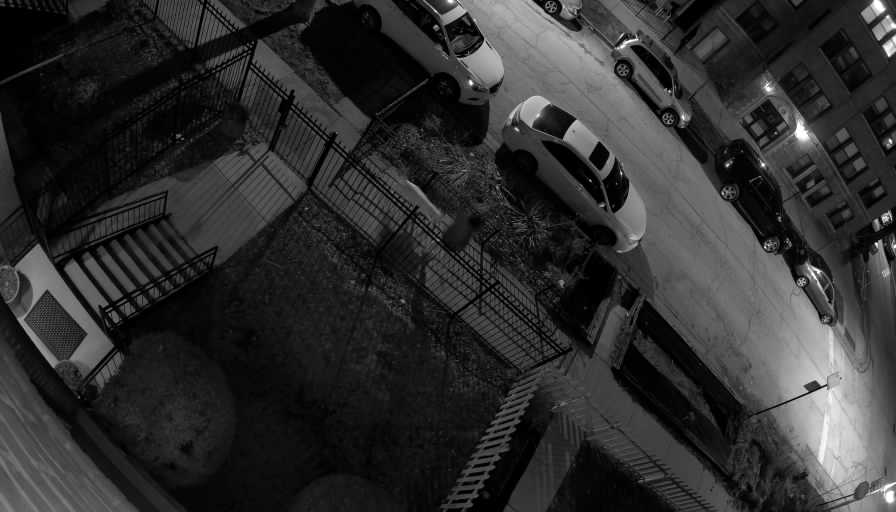 Reolink Camera Two_01_Reolink Home Hub One_20260323194607.jpg